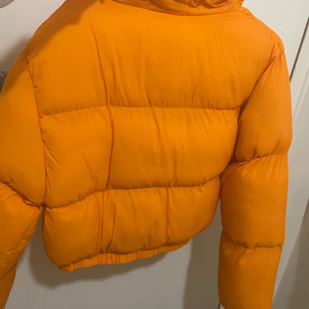 Jacket - Picture 3 of 8